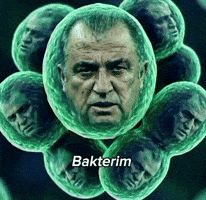 Fatih Terim GIF
