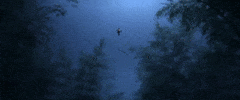 Arknights GIF