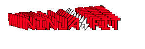 NINJA FIT Sticker