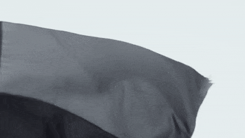 mati flag poland major lazer ghana GIF