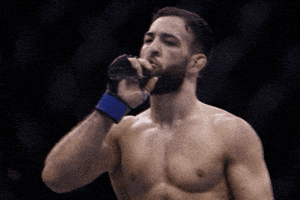 Fight Ufc GIF by promaslist