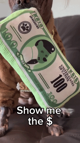 Show Me The Money Dog GIF