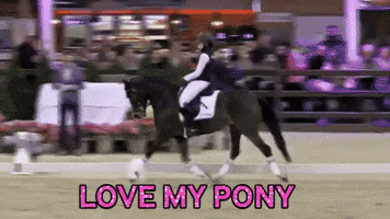 EQUIDEO pony poney love my pony mypony GIF