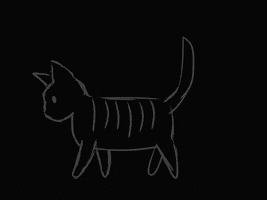 Cat GIF