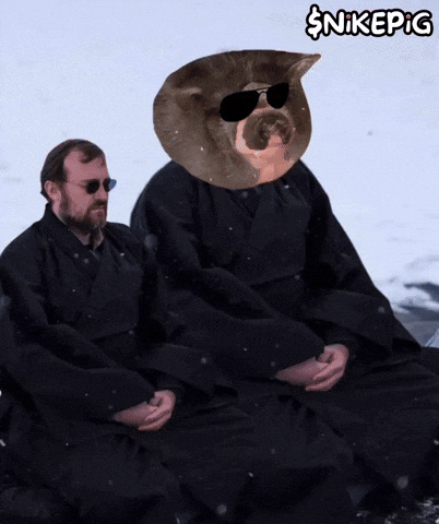 Thriving On Top Of The World GIF by Nikepig