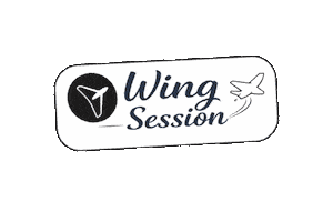 Fly Drone Sticker