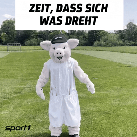 Germany Soccer GIF by SPORT1