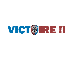 Soccer Win Sticker by FC Saint-Blaise