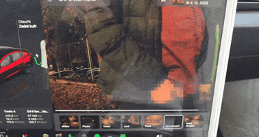 Tesla Sentry Mode GIF