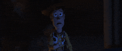 Disney gif. We zoom in on Woody from Toy Story as he holds a hand up and pleads for us to stop, eyes wide.