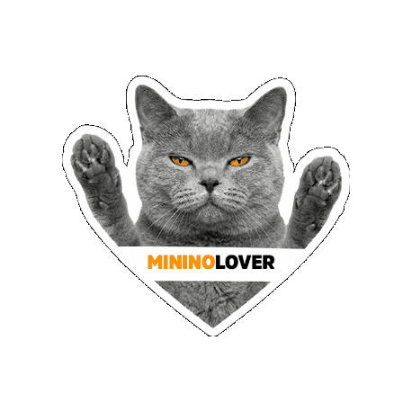 Seguroesporminino Sticker by Minino Plus®