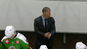 Clap Sweden GIF by Champions Hockey League