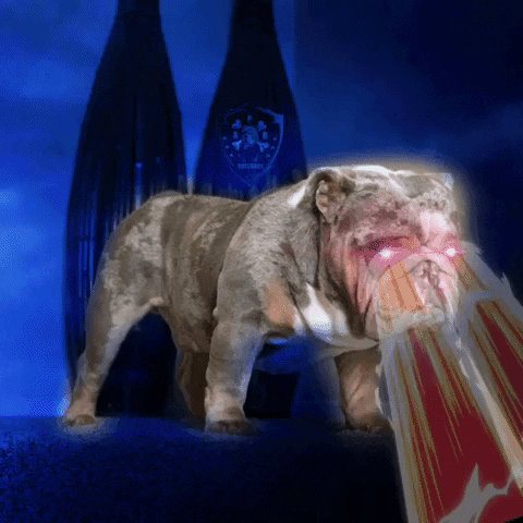 APB Bulldogs GIF