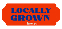 Diy Shop Small Sticker by LaréLisboa