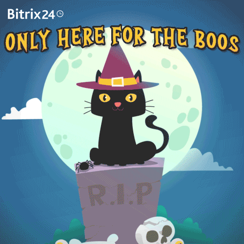 Trick Or Treat Cat GIF by Bitrix24