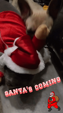 Santa GIF
