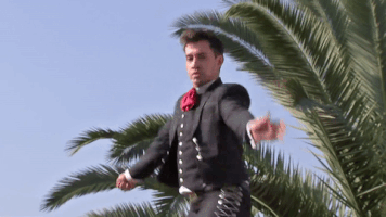 rominavidalandrade  GIF