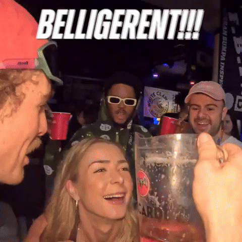 Belligerent Bermuda GIF