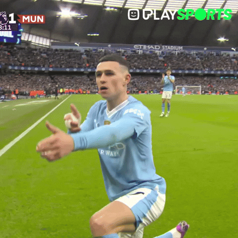 Premier League Football GIF by Play Sports