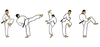 Tkd GIFs - Find & Share on GIPHY