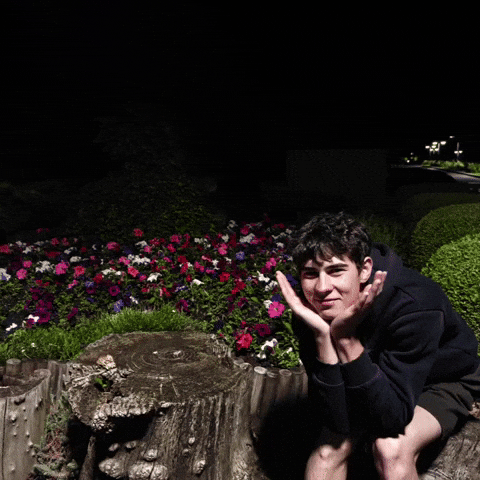 Casapu GIF