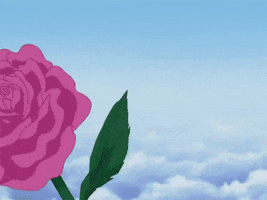 Duel Masters GIF
