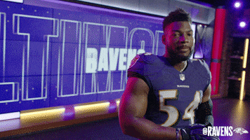 Football Go GIF by Baltimore Ravens
