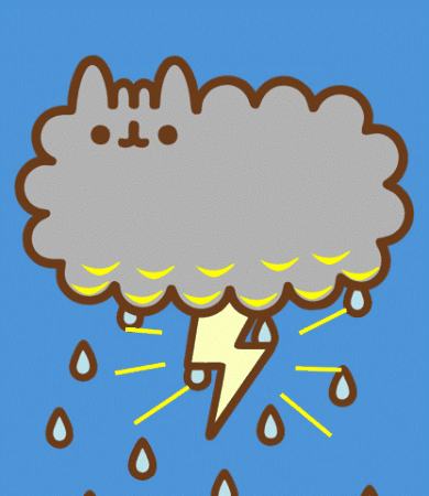 Cat GIF