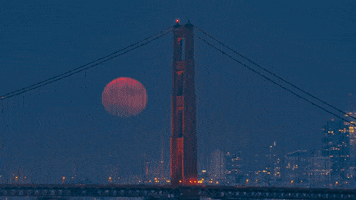 San Francisco Moon GIF by Storyful
