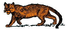 Cat Puma Sticker by Dano's Dangerous Tequila