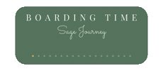 Travel Airplane Sticker by Boarding Time