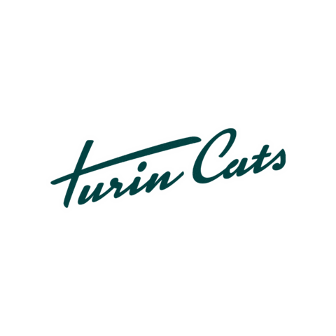 Turin Cats Sticker