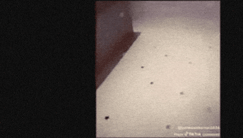 He Made A Statement GIF