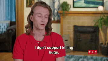 90 Day Fiance Bugs GIF by TLC