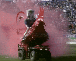 Rugby League Win GIF by NZWarriors