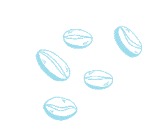 Colada Shop Sticker