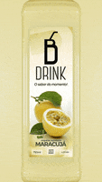 Bebida Batida GIF by B Drink