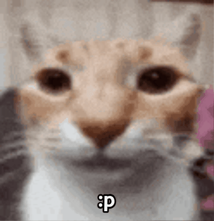 Cat GIF