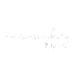 Meraki Foto Sticker