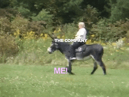 Ride GIF
