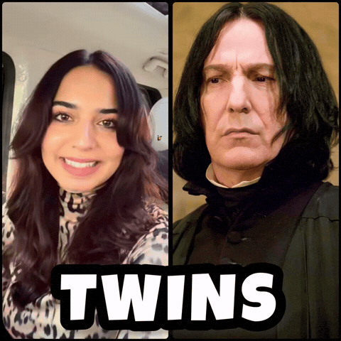 Harry Potter Twins GIF