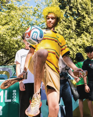 Fifa World Cup GIF