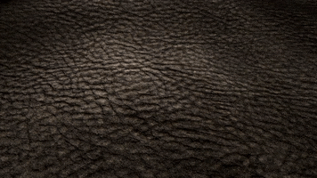 Genuine Leather GIF