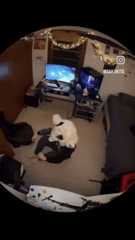 Sakukits GIF