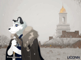 Game Of Thrones Jonathan GIF by UConn