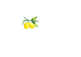 Corona Lemon Sticker by handz