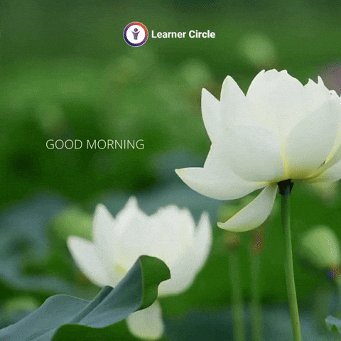 The-white-lotus GIFs - Get the best GIF on GIPHY