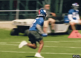 Carolina Giants GIF by The Undroppables