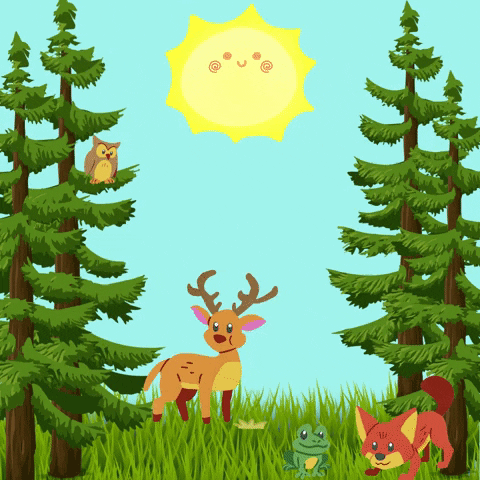 Summer Forest GIF by Maria Johnsen