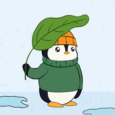 Rainy Day Water GIF by Pudgy Penguins